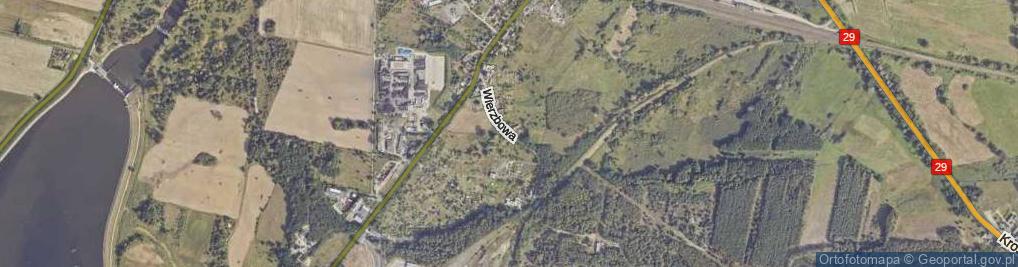 Zdjęcie satelitarne Wierzbowa ul.